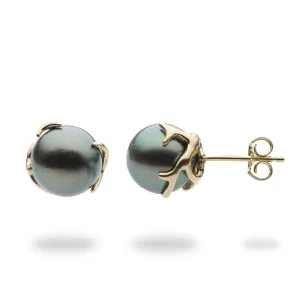 Heritage Tahitian Pearl Earrings in Gold - 9-10mm