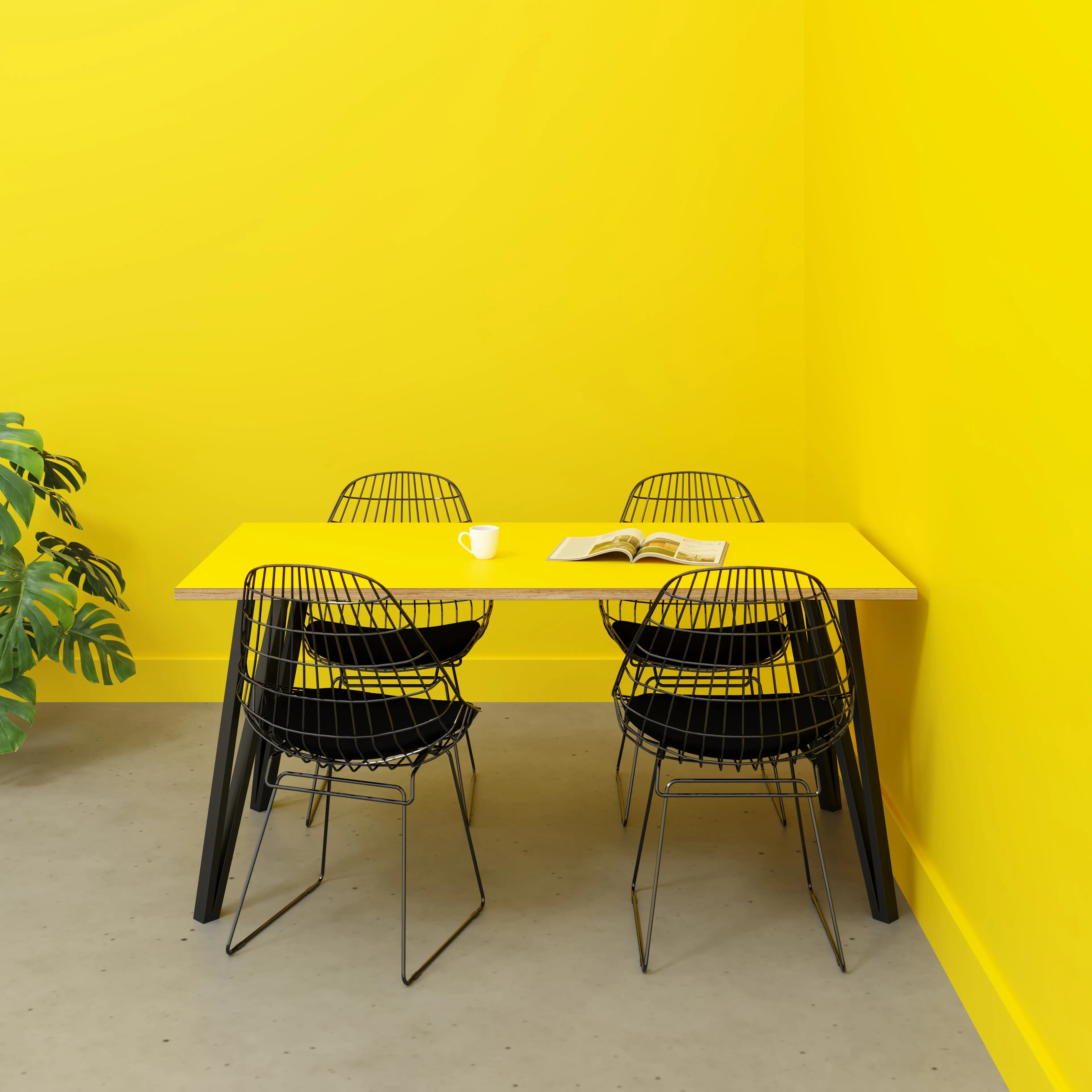 Plywood Table with Black Box Hairpin Legs - Formica Chrome Yellow - 1600(w) x 800(d) x 735(h)