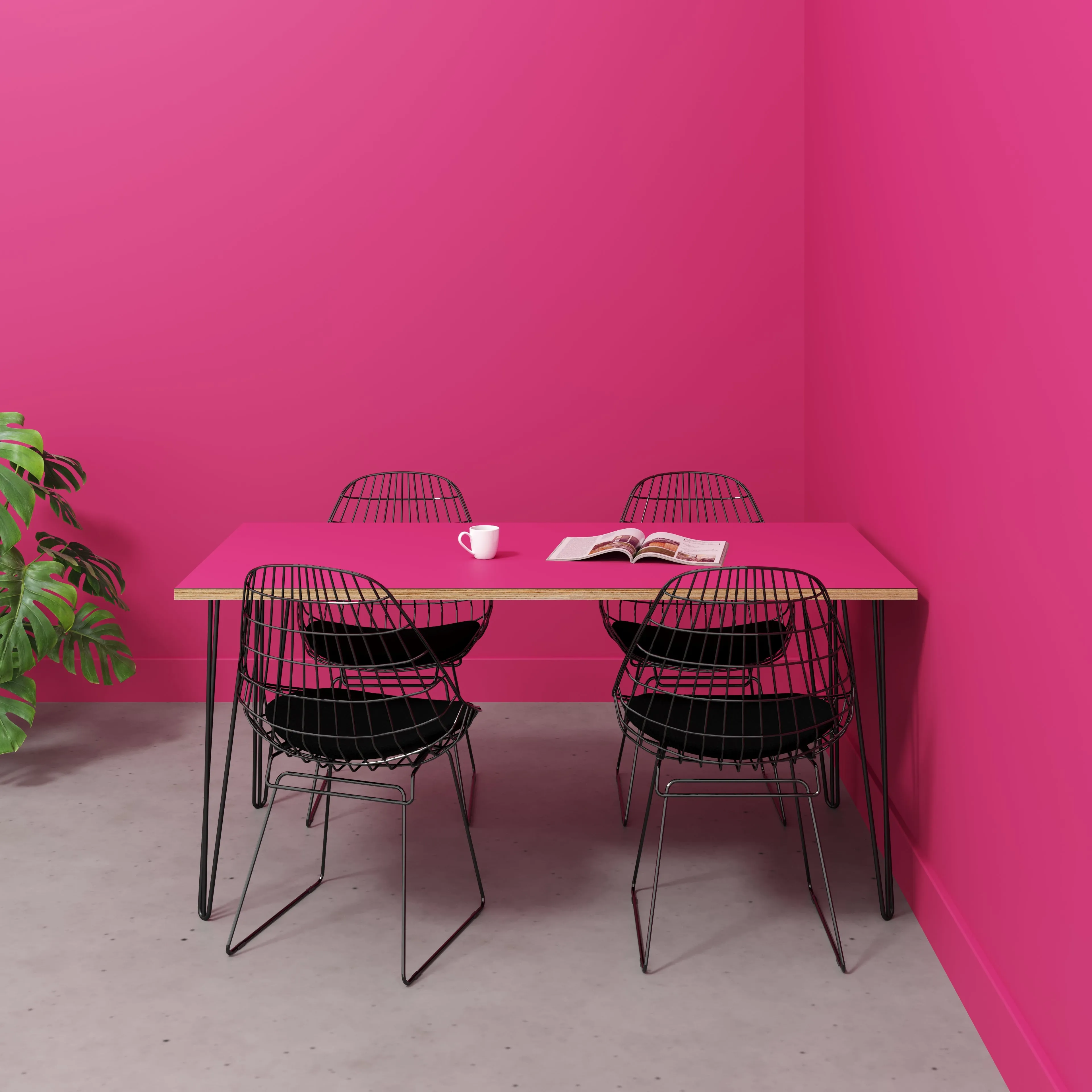 Plywood Table with Black Hairpin Legs - Formica Juicy Pink - 1600(w) x 800(d)