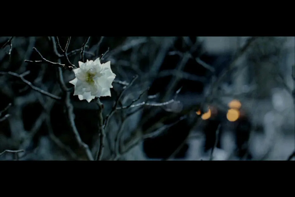 White Tree of Gondor