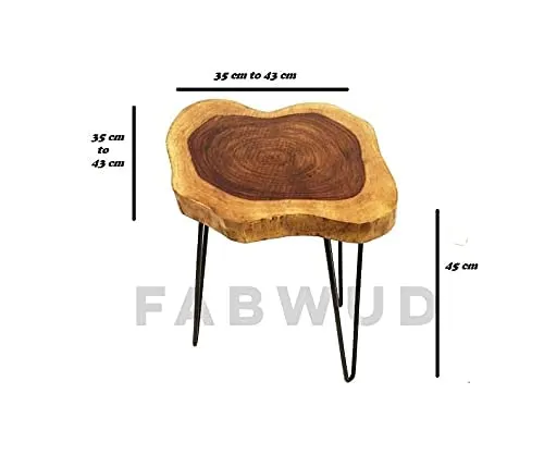 WOODHUT Rustic Slab Coffee Table Wood Side Table,End Table Irregular Shape Glossy